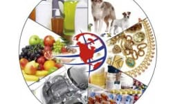 Agentes aduanales - SE Global Logistics