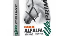 Pellets de alfalfa - AgMotion México
