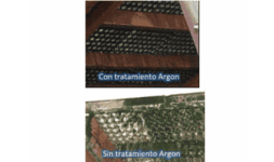 Bactericidas - Argón Química