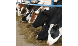 Leche en polvo - AgMotion México