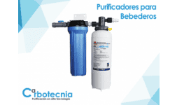 Purificadores para bebederos - Carbotécnia