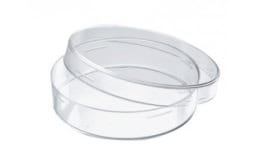 Cajas petri esteriles - Científica Vela Quin S. de R.L. de C.V.