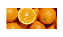 D-limoneno naranja - Especialidades PDV
