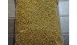 Polen de abeja - El Pueblito