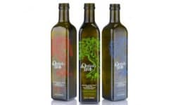 Botellas decoradas - Distribuidora Prez