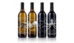 Decorado de botellas - Distribuidora Prez