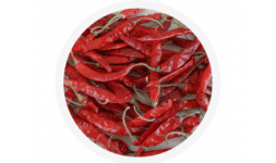 Chiles secos - Earth Expo Company