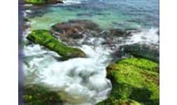 Extractos botanicos - Charkit Chemical Corporation