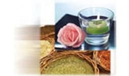 Aceite de aguacate - Charkit Chemical Corporation