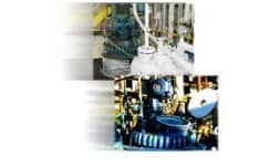 Acido lactico - Charkit Chemical Corporation