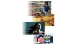 Fragancias (bases para perfumes) - Charkit Chemical Corporation