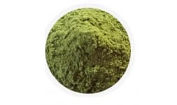 Moringa oleifera en polvo - Earth Expo Company
