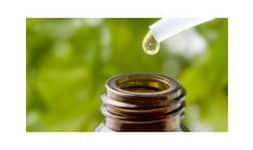 Aceite de limon centrifugado tipo a - Cítricos Vega Hermanos