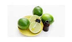 Aceite de limon persa centrifugado - Cítricos Vega Hermanos