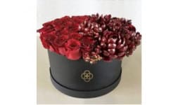 Diseño de cajas de carton - Duartee&Co S.A. de C.V.