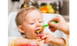 Sabores para la industria alimentaria - Frallier