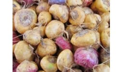 Alimentos nutricionales - Graneles y Derivados Industriales S.A.C. Graderi