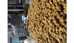 Alimentos funcionales - Graneles y Derivados Industriales S.A.C. Graderi