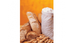 Feculas de trigo - Gluten y Almidones Industriales