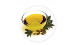 Aceite de castor - Earth Expo Company