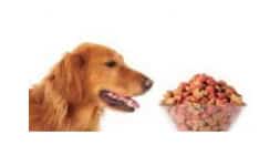 Colorantes para alimentos de animales - AIG Sinergia y Representaciones