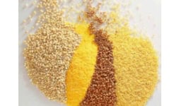 Colorantes para avicultura - AIG Sinergia y Representaciones