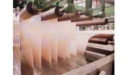 Celulosa para papel  - AIG Sinergia y Representaciones