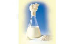 Cultivos lacticos - Raff