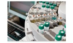 Fragancias en general - Mane México