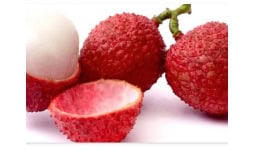 Sabores para alimentos - Mane México