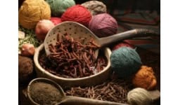 Colorantes naturales - Saujanya Exports