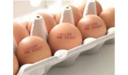 Loteadoras - Domino Printing México