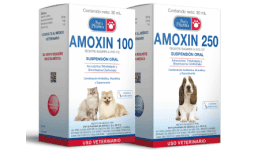 Antibioticos de uso veterinario - Pet's Pharma de México