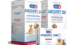 Medicina veterinaria - Pet's Pharma de México