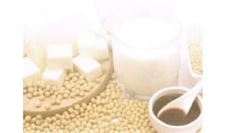 Proteina de soya - Forestal Química Ecatepec