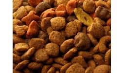 Alimentos para mascotas - AgMotion México