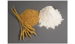 Gluten - Gluten y Almidones Industriales