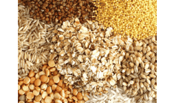 Harinolina - AgMotion México