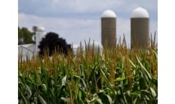 Materias primas alimentos balanceados - AgMotion México