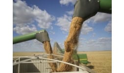 Materias primas alimentos balanceados - AgMotion México