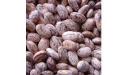 Frijol bayo - Nuez Almendra y Granos