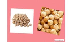 Garbanzo - Nuez Almendra y Granos