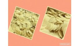 Hojuelas de papa deshidratadas - Nuez Almendra y Granos
