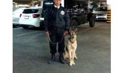 Guardias de seguridad con apoyo canino - Begecan Adiestramiento y Servicio Privado en Seguridad Canina