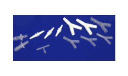 Conectores de polipropileno - Asestec-Pro