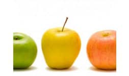Acido malico - NutriScience Innovations