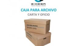 Cajas para archivo - GIDESA