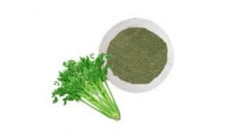 Apio en polvo - Engloba Food Solutions