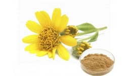 Arnica - Engloba Food Solutions