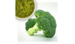 Brocoli en polvo - Engloba Food Solutions